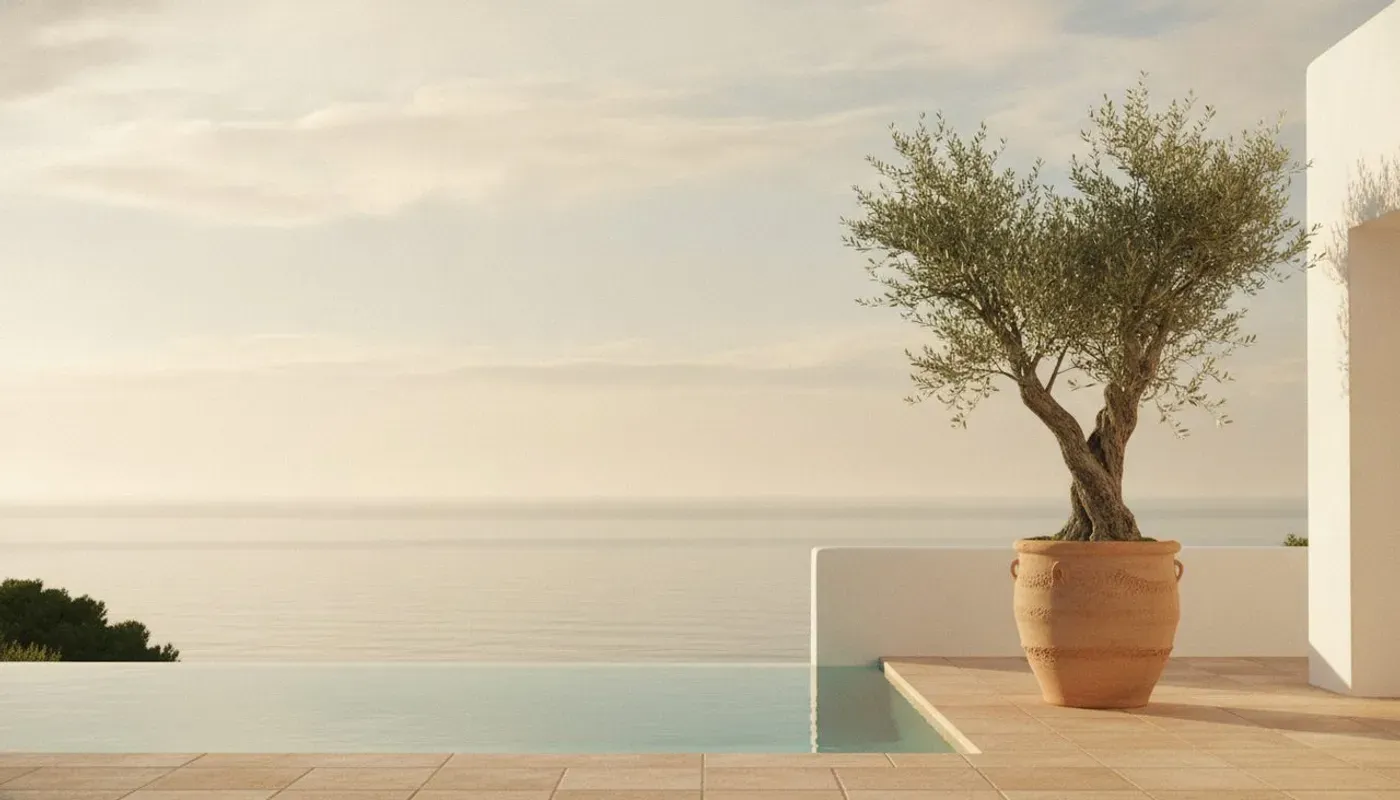 Whitewashed Mediterranean villa terrace with an olive tree
